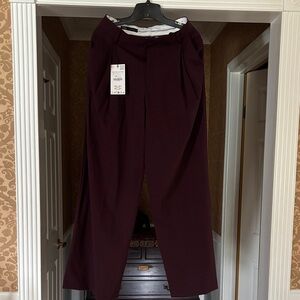Zara Deep Burgundy Pants